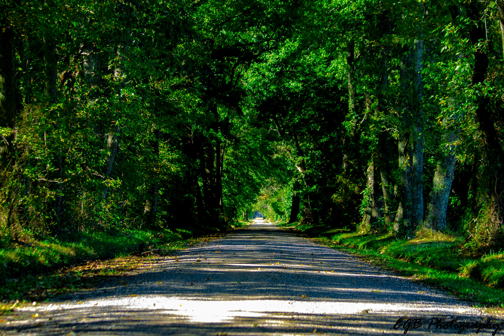 Canon EF 70-300mm F4-5.6 IS USM sample photo. Just another road in life photography