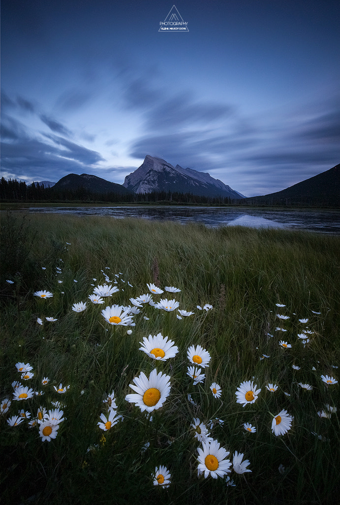 Canon EOS 5D Mark II + Canon EF 16-35mm F4L IS USM sample photo. Mount rundle photography