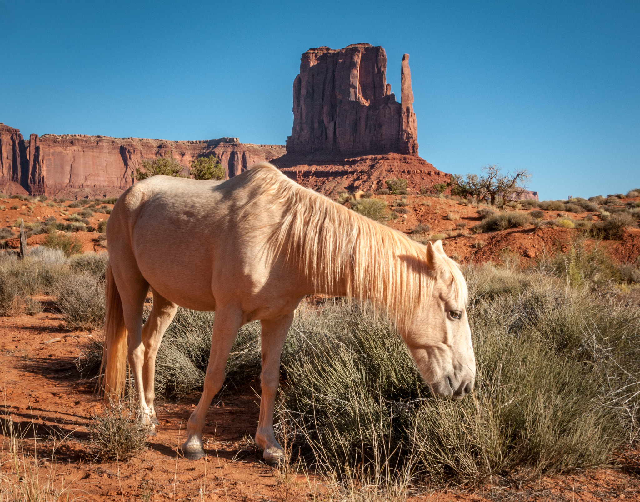Nikon D300 sample photo. Monument valley photography