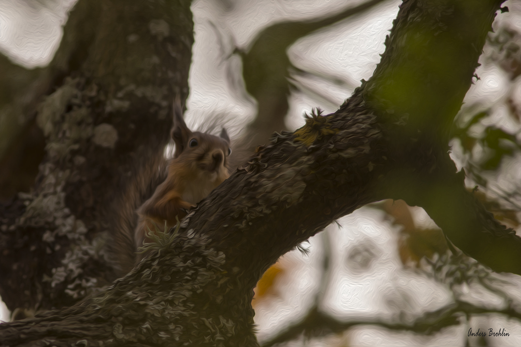 Sony a99 II sample photo. Painted squirrel photography