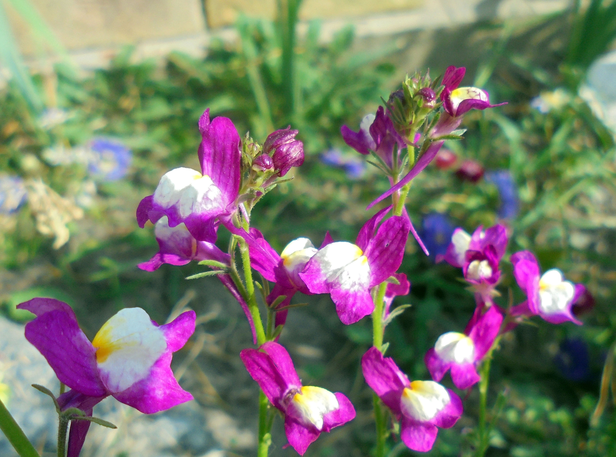 Sony Cyber-shot DSC-W810 sample photo. Dsc photography