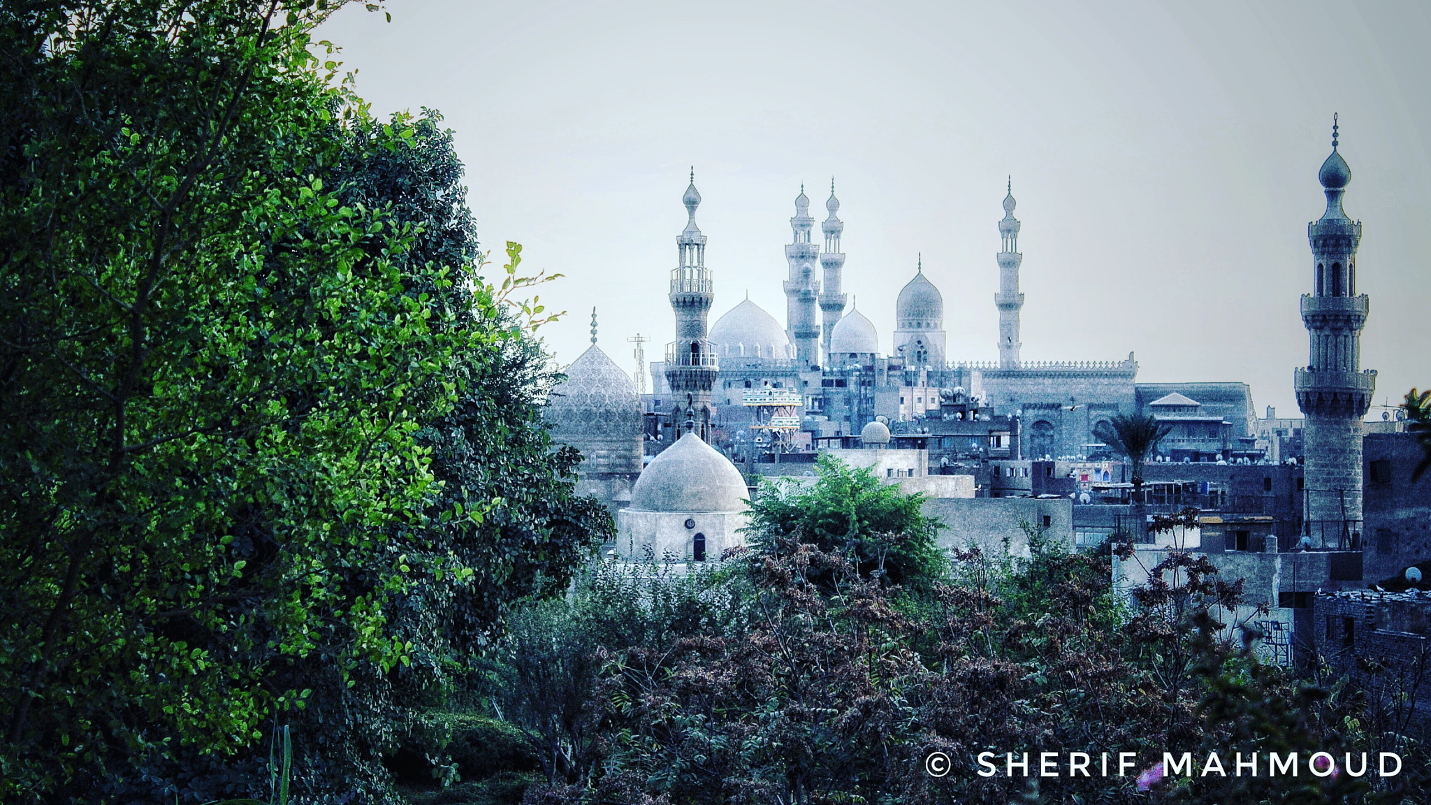 Canon EF-S 18-55mm F3.5-5.6 III sample photo. القاهرة الفاطمية من أعلي حديقة الأزهر photography