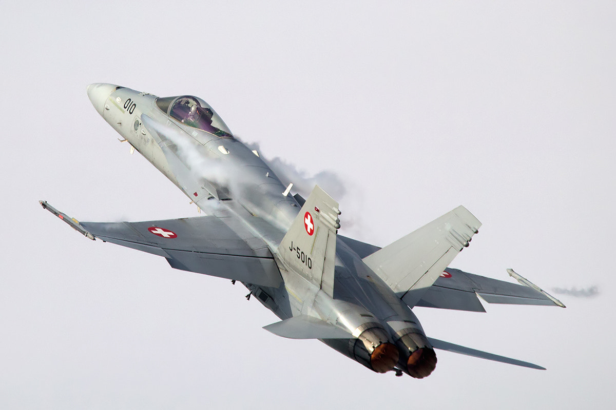 150-600mm F5-6.3 DG OS HSM | Contemporary 015 sample photo. Hornet photography