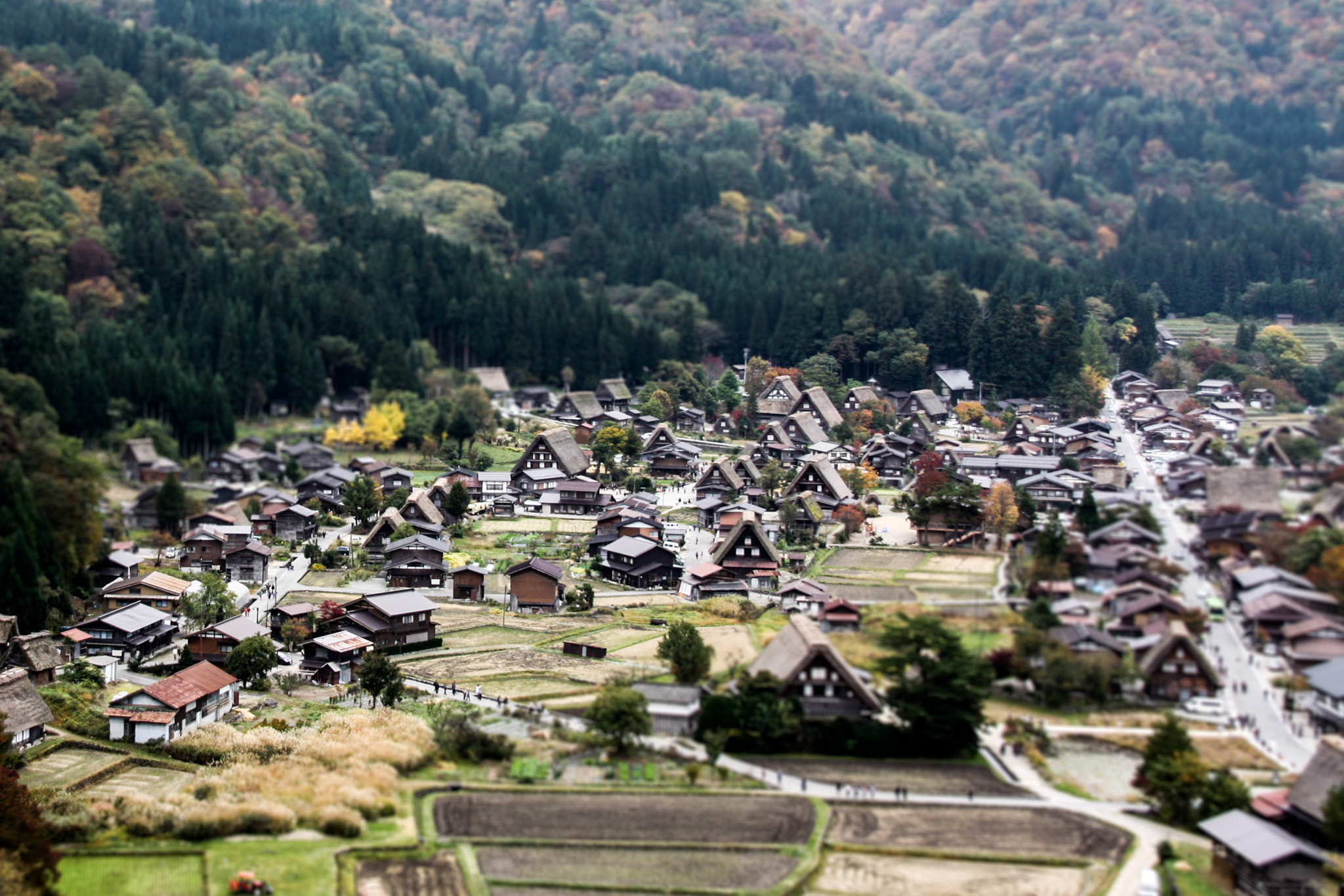 Sigma 18-200mm f/3.5-6.3 DC OS sample photo. Shirakawa photography