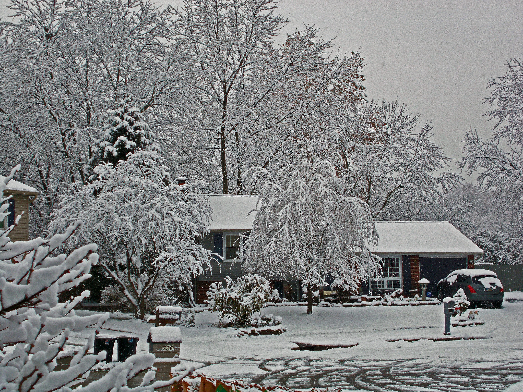 Nikon COOLPIX L27 sample photo. Snowy morning photography