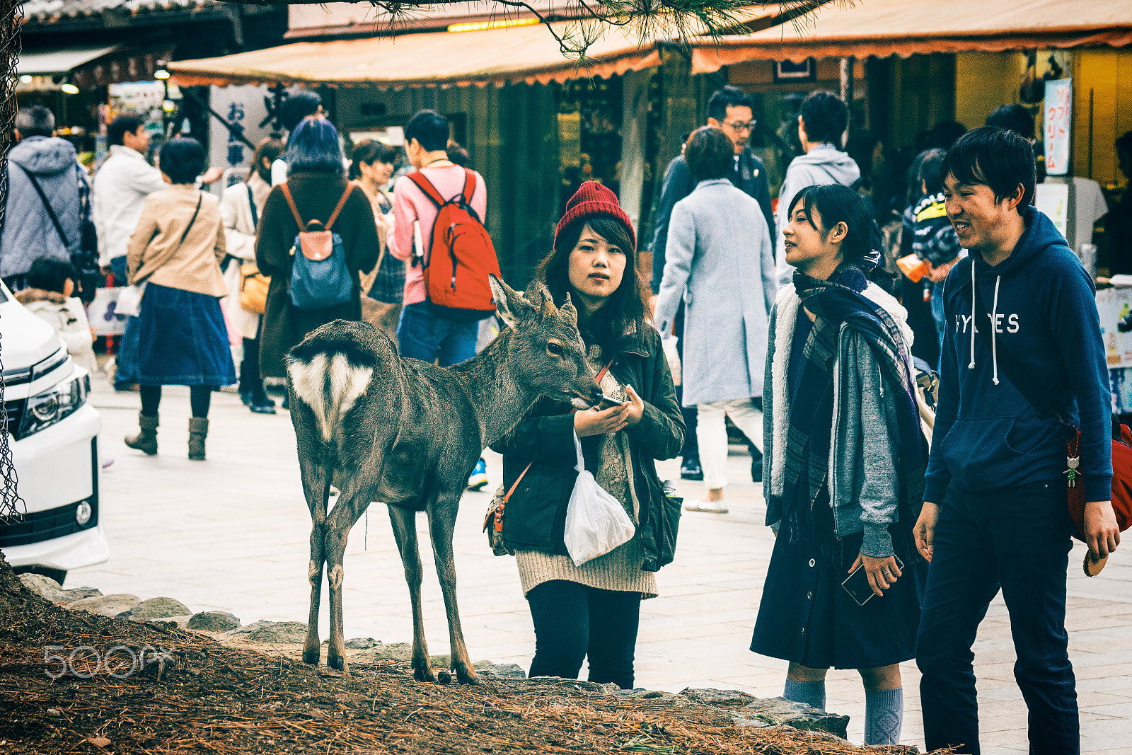 Sony a7R II + Sony 70-300mm F4.5-5.6 G SSM sample photo. Nara's street photography