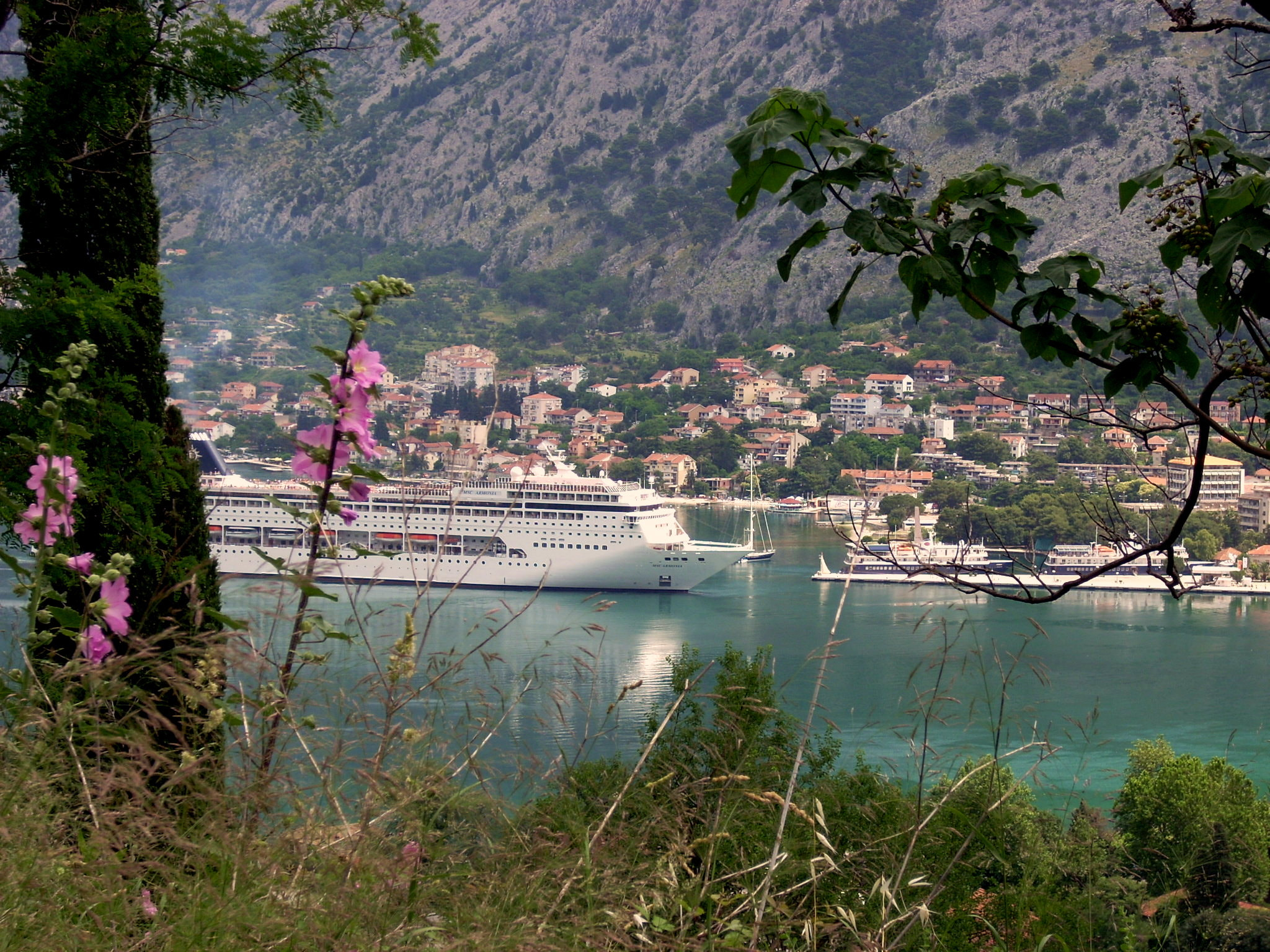 Nikon COOLPIX L11 sample photo. Kotor - crna gora - montenegro photography