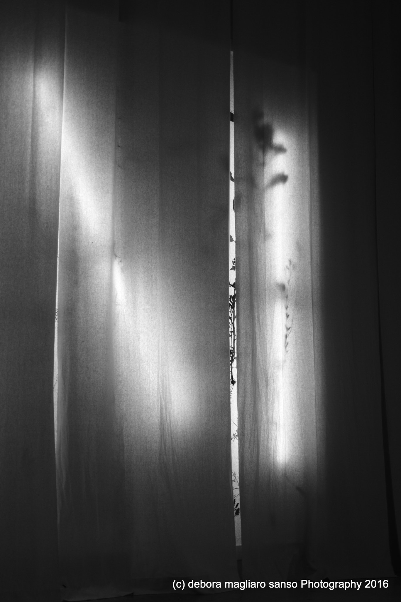 Nikon D610 + Nikon AF Micro-Nikkor 60mm F2.8D sample photo. Mystery in the morning photography