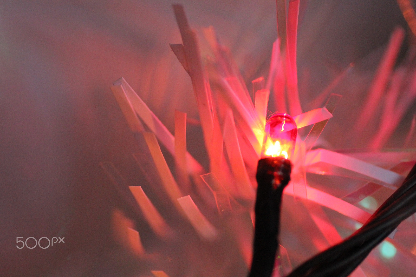 Canon EOS 60D + Tamron SP AF 90mm F2.8 Di Macro sample photo. Red light photography