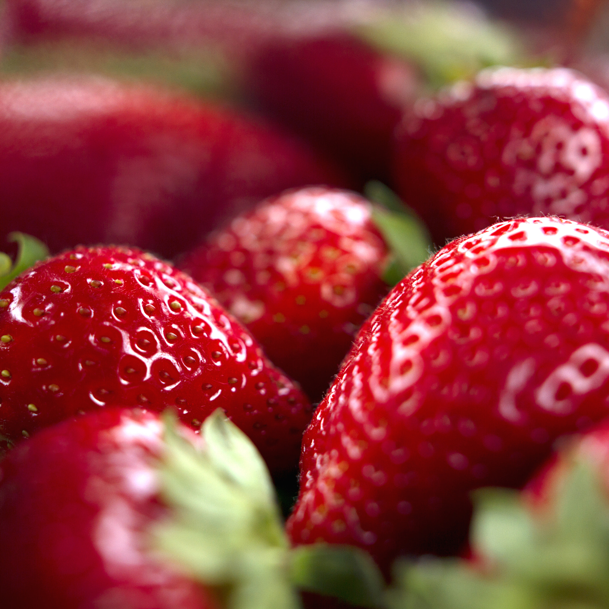 Canon EOS 7D + Sigma 24mm F1.4 DG HSM Art sample photo. Close up photo of fresh red juicy strawberries photography