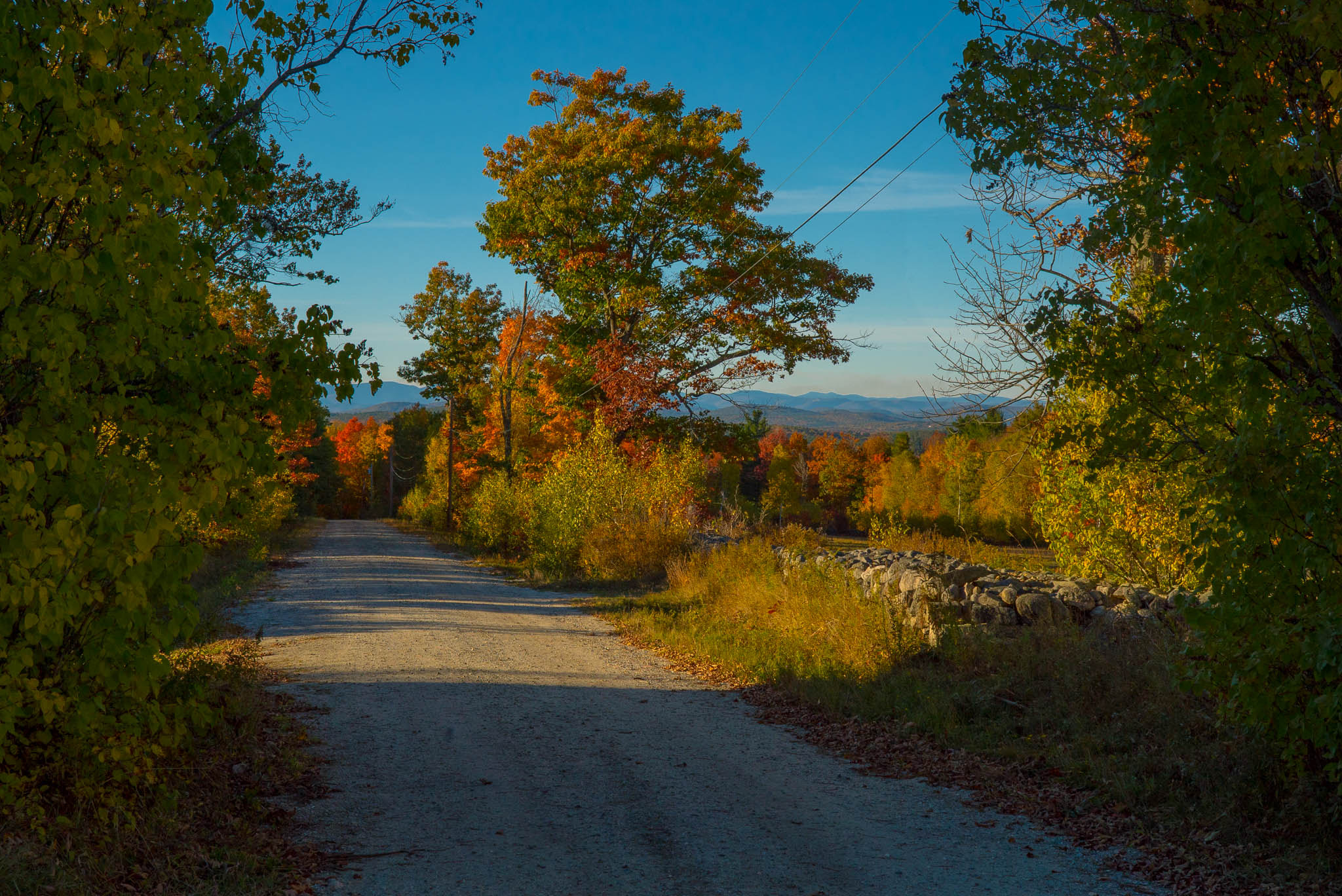 Sony a7S sample photo