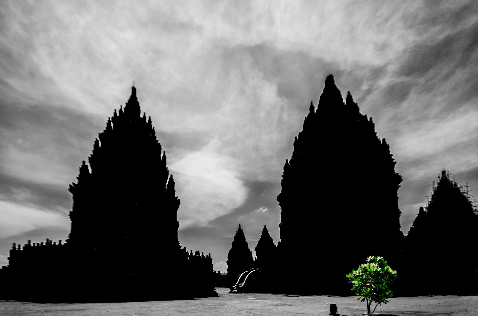 Pentax K-5 IIs + Sigma AF 10-20mm F4-5.6 EX DC sample photo. Prambanan with tree photography