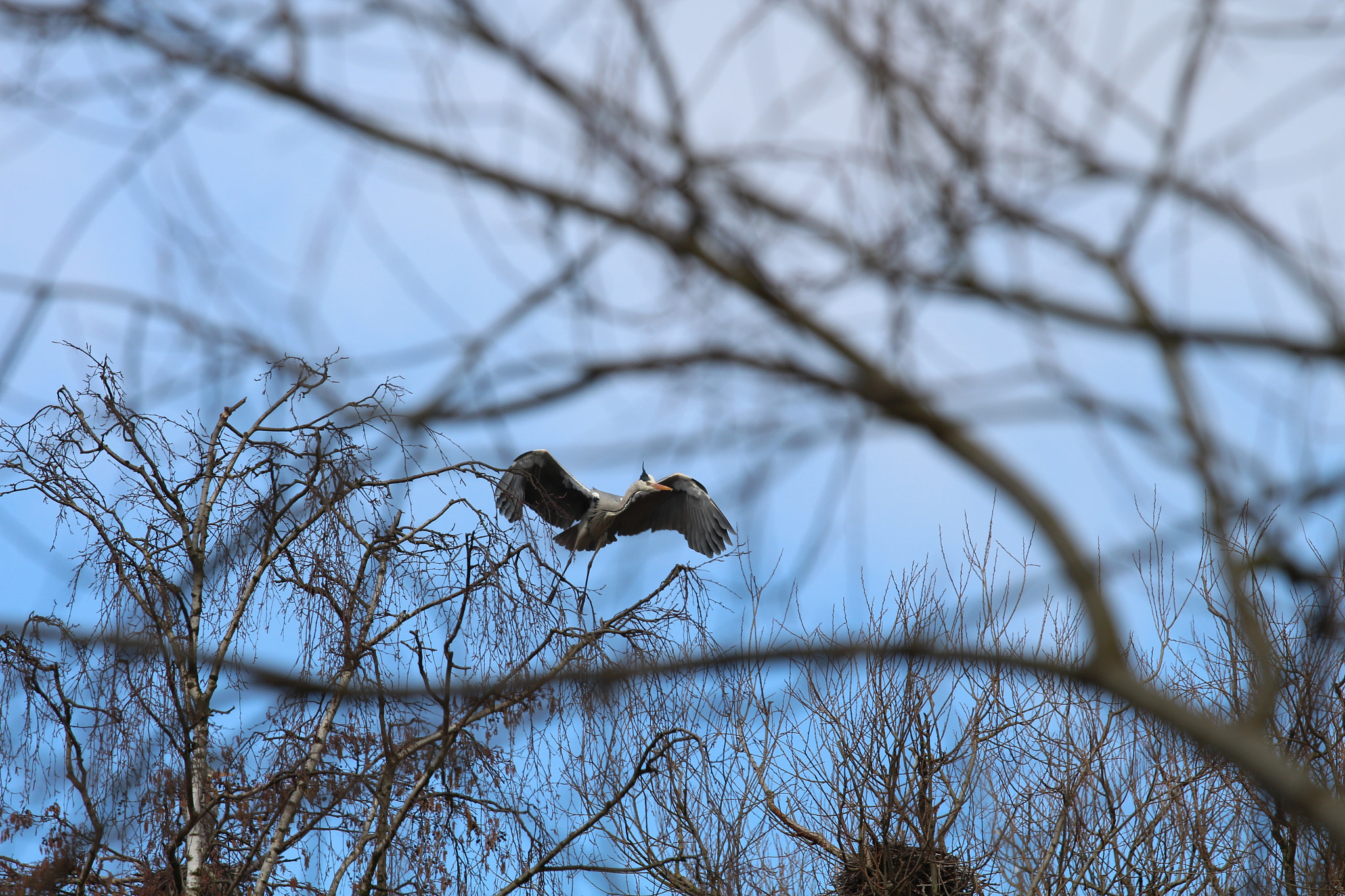 Canon EOS 650D (EOS Rebel T4i / EOS Kiss X6i) + Canon EF 70-200mm F4L IS USM sample photo. Lake of bramfeld, hamburg, germany photography