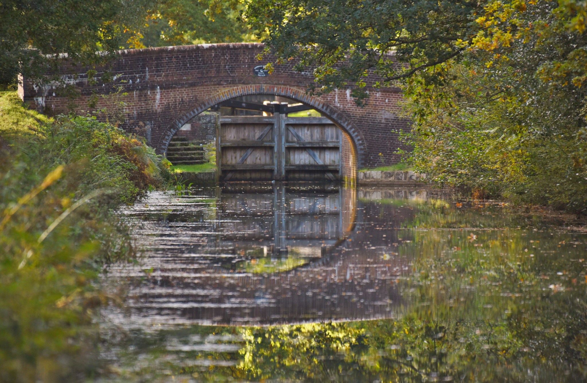 Sigma 50-500mm F4.5-6.3 DG OS HSM sample photo. Basingstoke canal pirbright 15 october 2016 010 photography