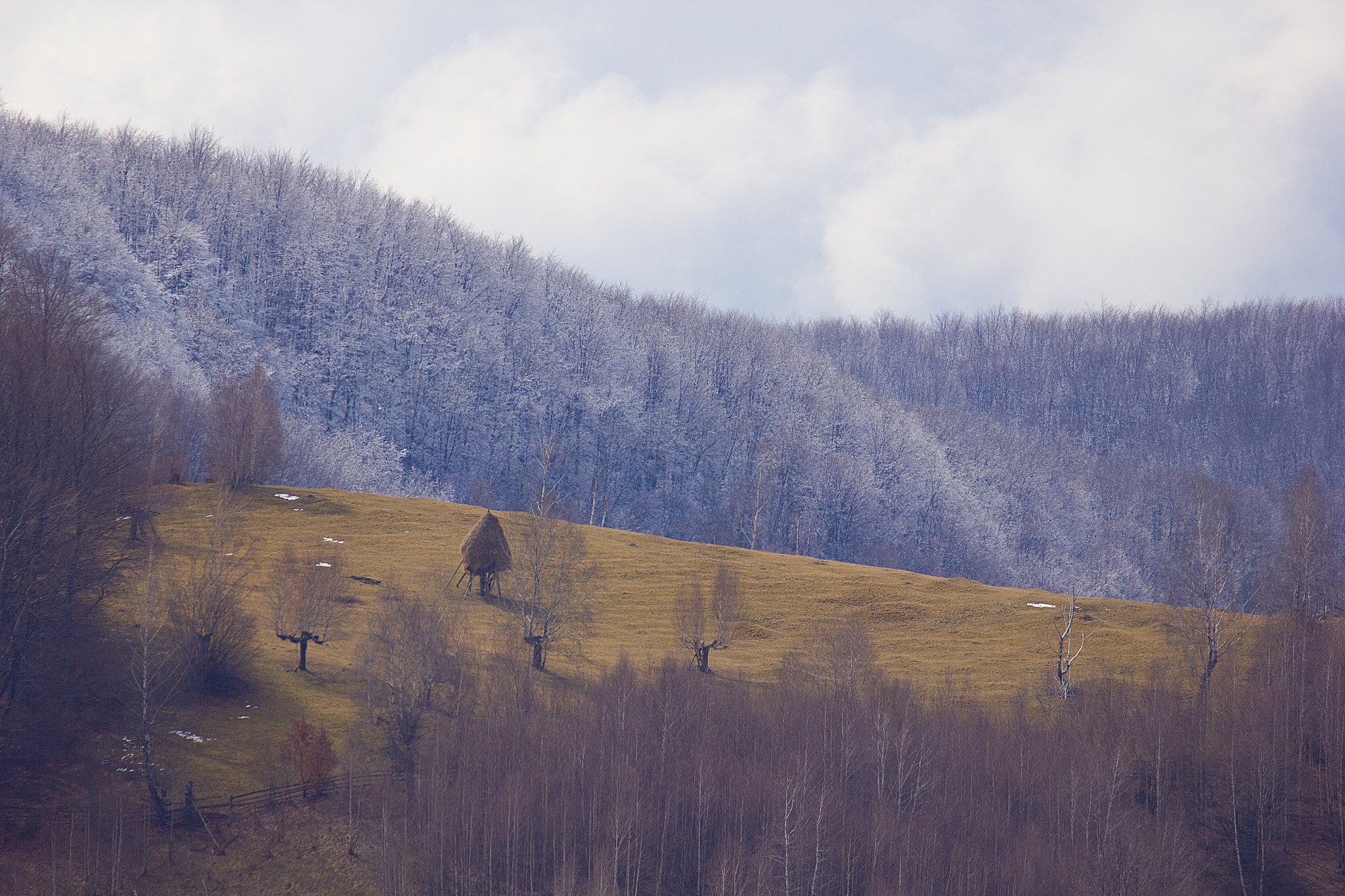Canon EF 70-300mm F4-5.6L IS USM sample photo. Gradistea muncelului photography