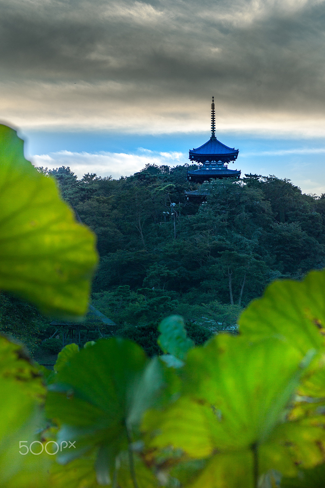 Canon EOS 5D Mark II + Tamron SP AF 90mm F2.8 Di Macro sample photo. Three story pagoda photography