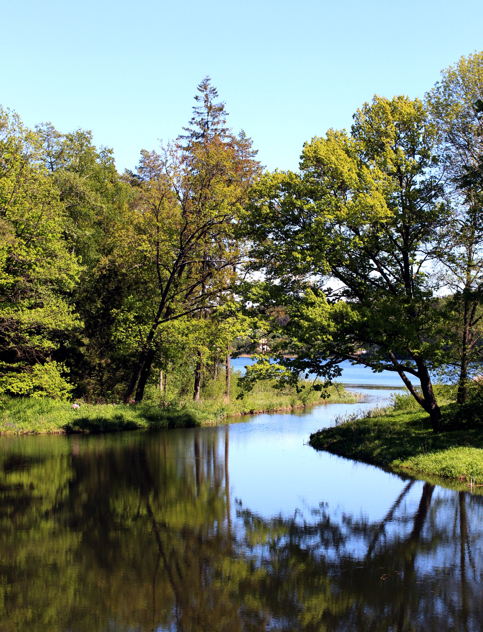 Canon EF 40mm F2.8 STM sample photo. Lithuania photography