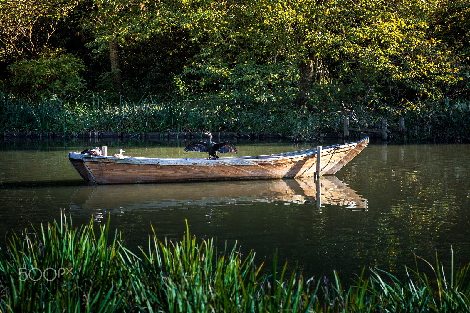 Canon EOS 5D Mark II + Tamron SP AF 90mm F2.8 Di Macro sample photo. Boat crew photography