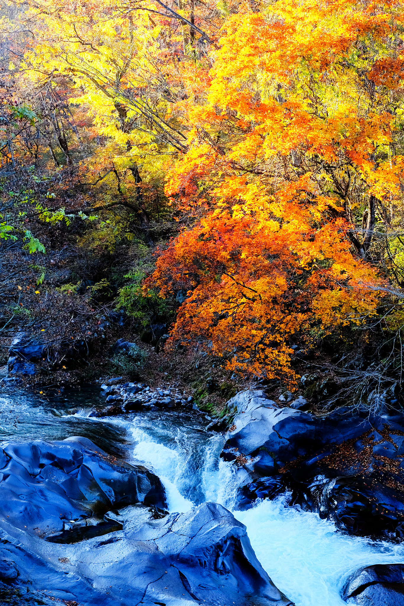Fujifilm X-M1 + Fujifilm XF 35mm F1.4 R sample photo. Fall foliage and clear stream photography