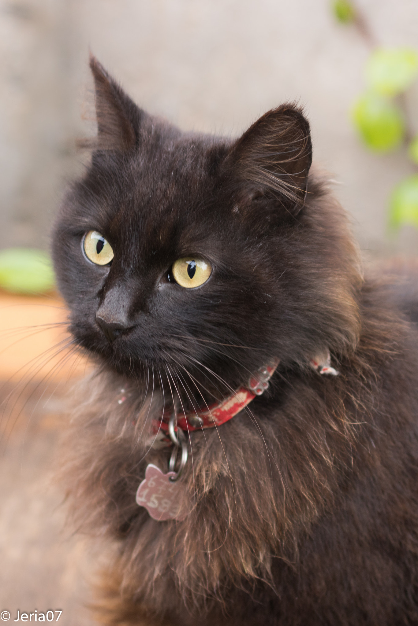 Sigma 50mm F1.4 EX DG HSM sample photo. Enanilla photography