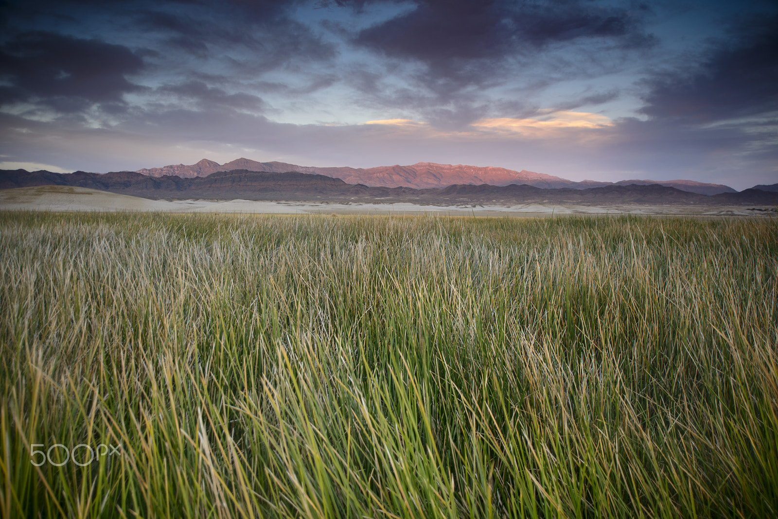 AF Zoom-Nikkor 28-105mm f/3.5-4.5D IF sample photo. Oasis photography