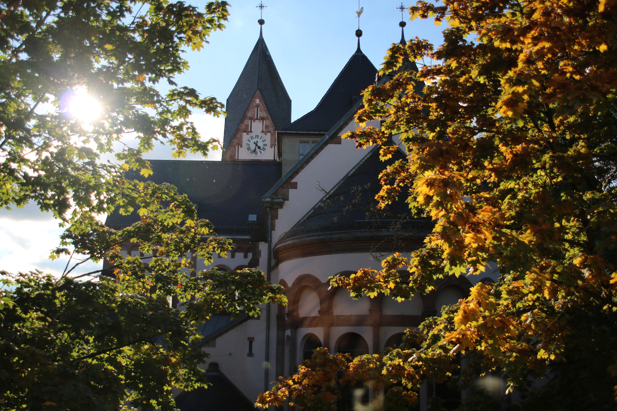 Canon EOS 750D (EOS Rebel T6i / EOS Kiss X8i) + Canon TS-E 90mm F2.8 Tilt-Shift sample photo. Germany fall photography