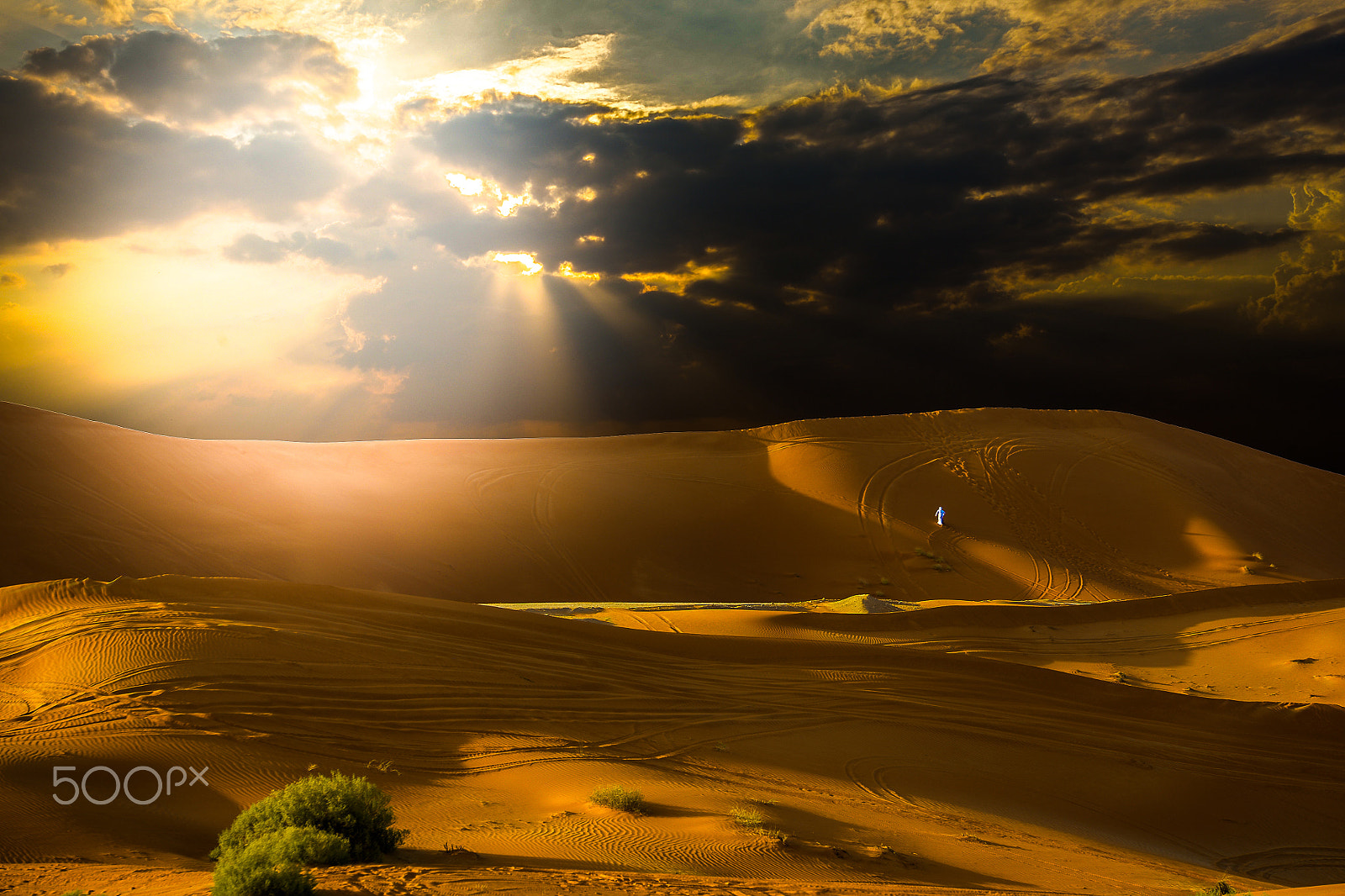 Sigma 70-200mm F2.8 EX DG OS HSM sample photo. Beauty of light photography