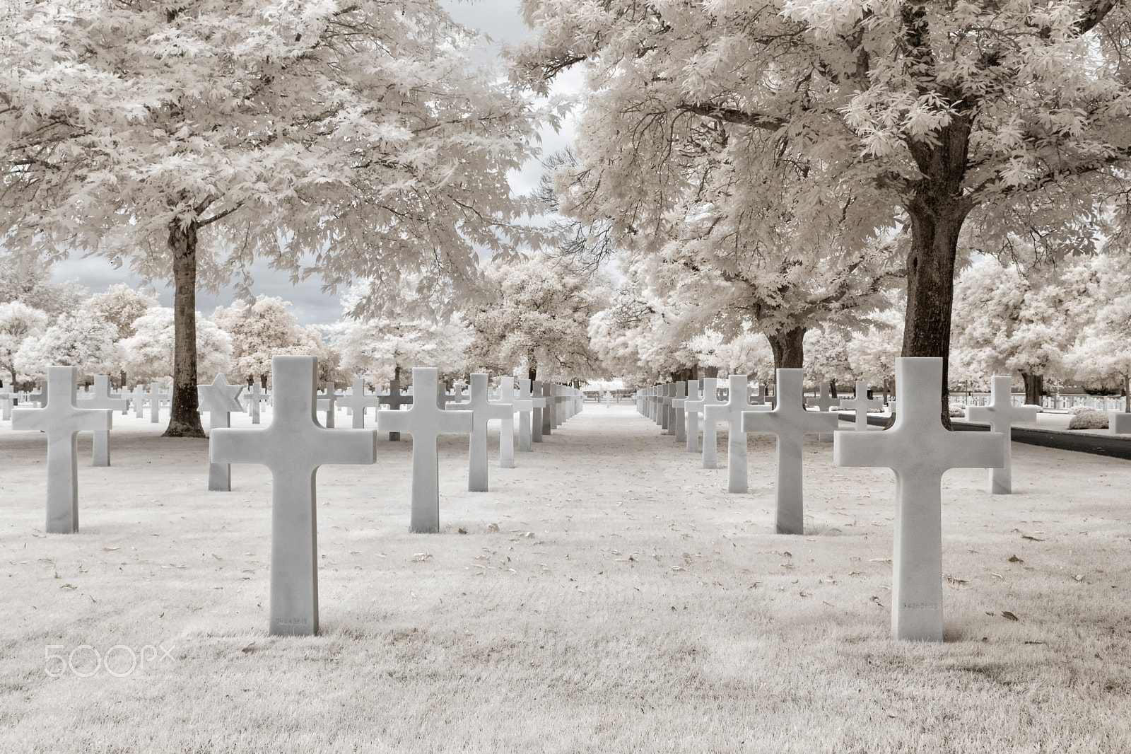 Canon EF-S 24mm F2.8 STM sample photo. Brittany american cemetery photography