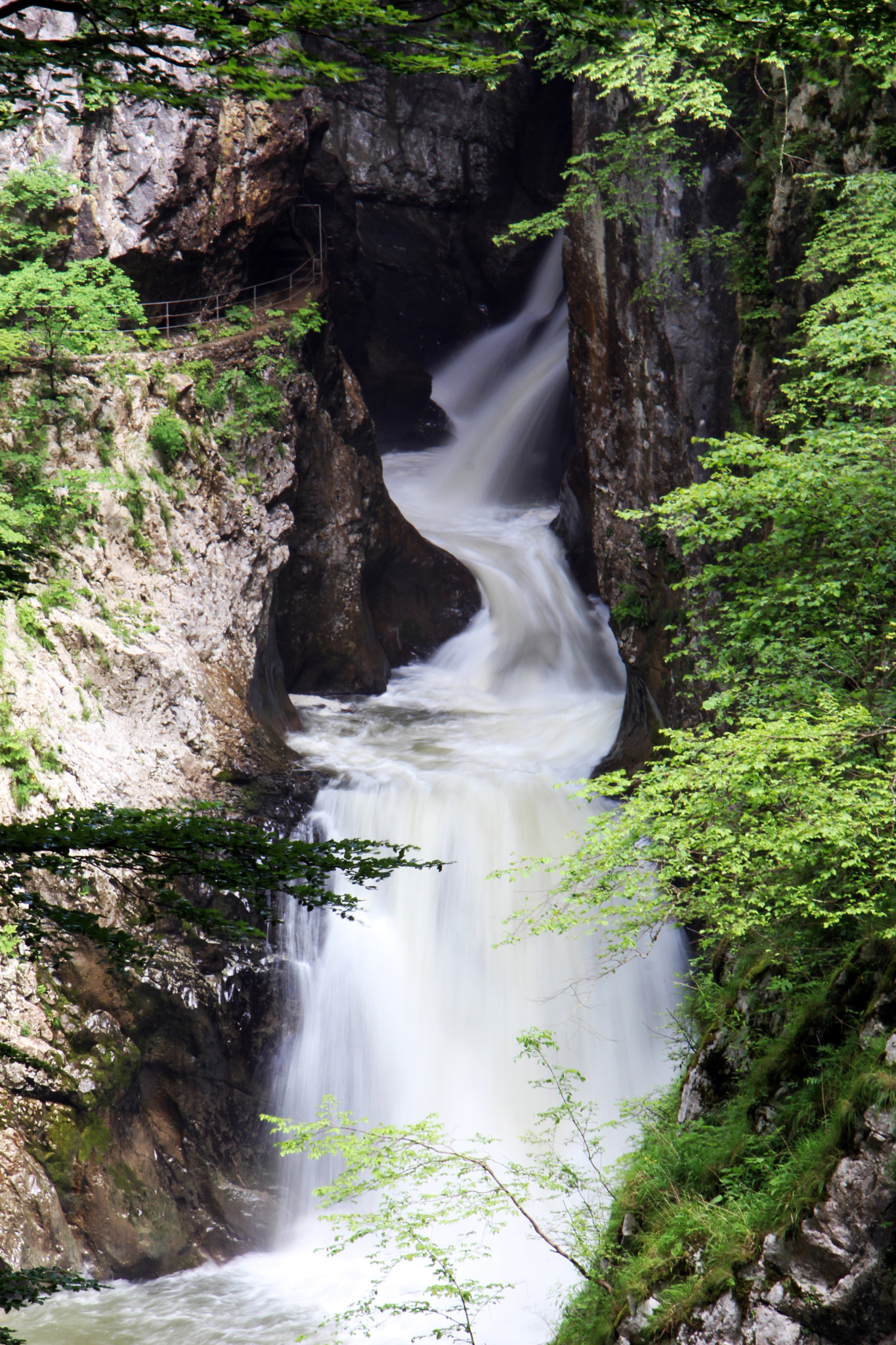 Canon EOS 700D (EOS Rebel T5i / EOS Kiss X7i) sample photo. Slovenia photography