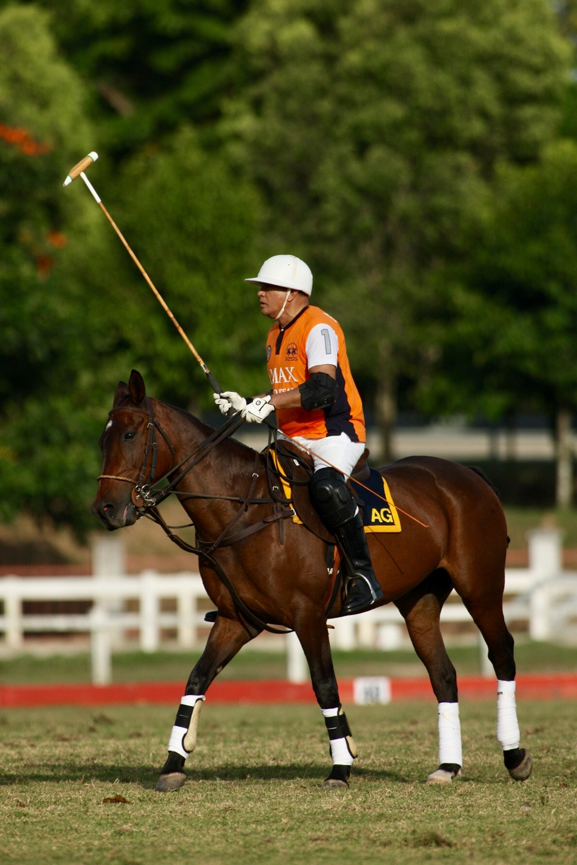 Canon EF 300mm f/2.8L sample photo. Malaysia open polo tournament 2016 photography