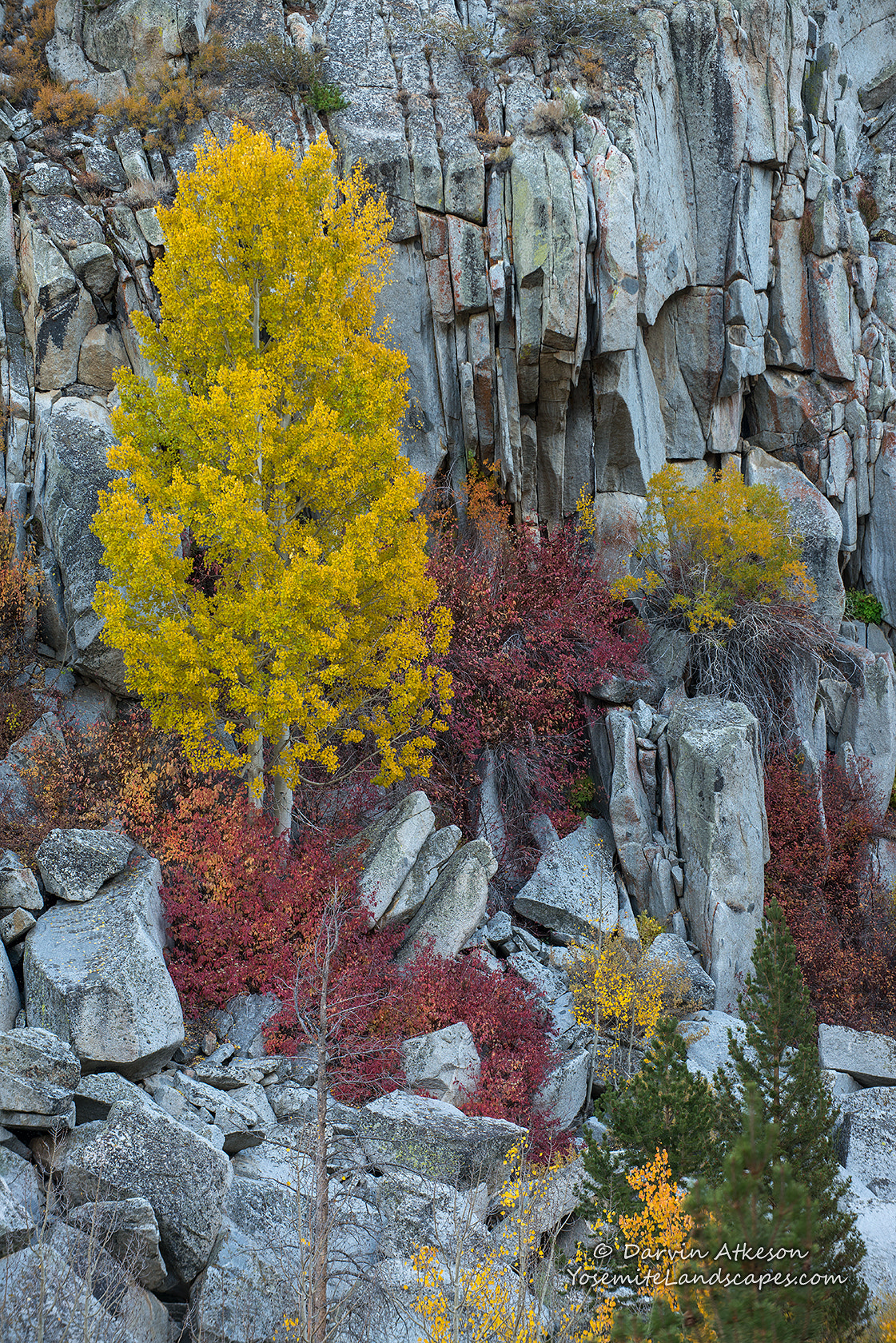 Nikon D800E sample photo. A canvas of granite - bishop creek canyon photography