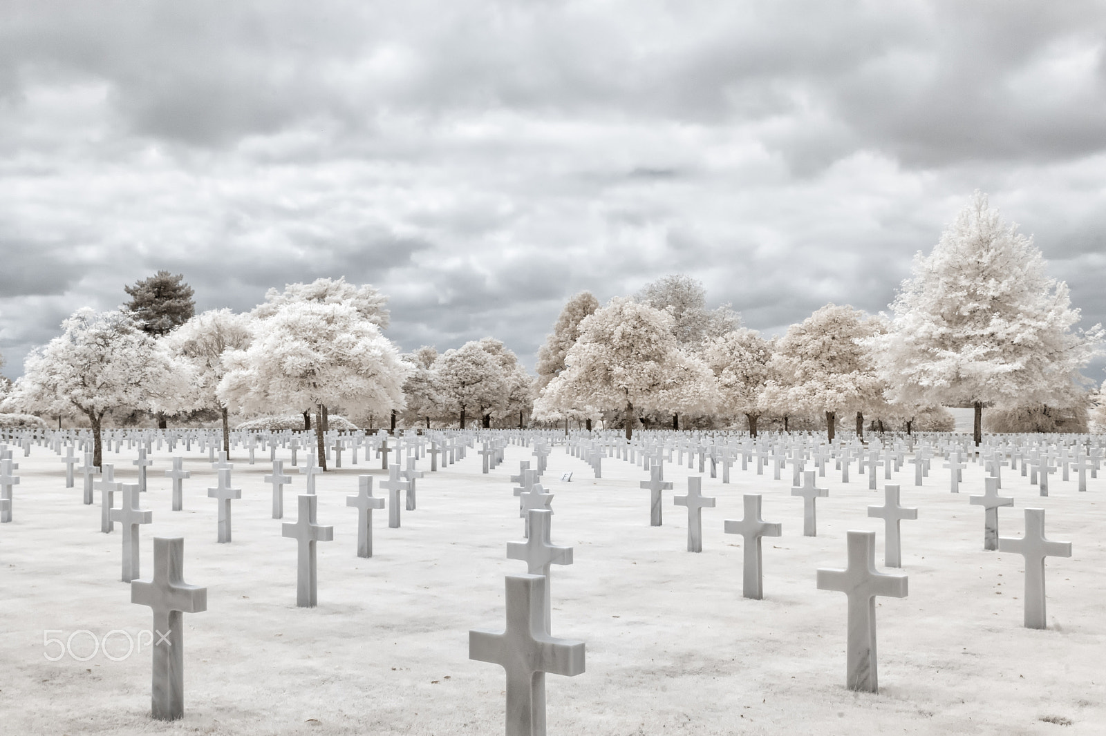 Canon EF-S 24mm F2.8 STM sample photo. Brittany american cemetery photography