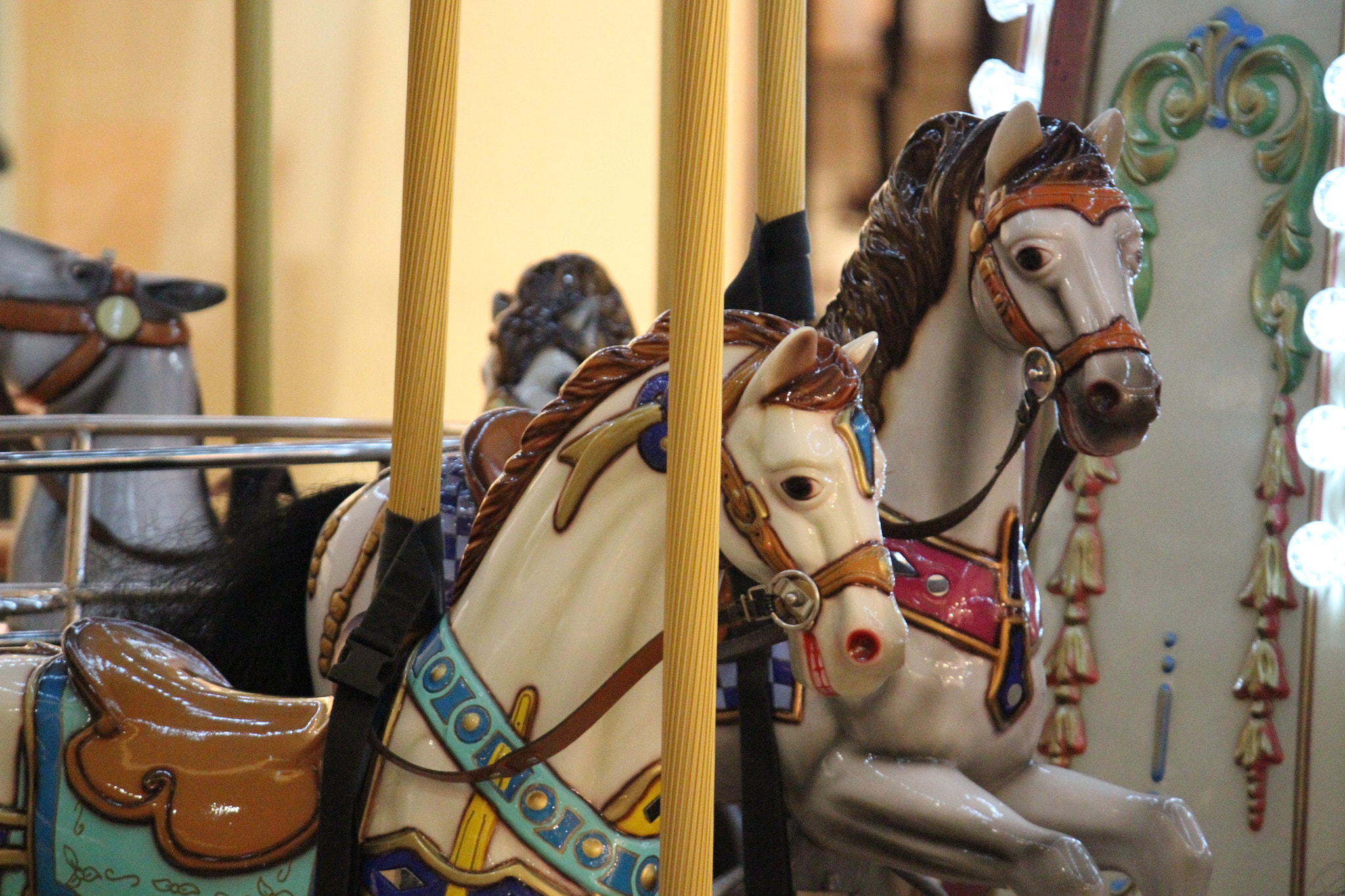 Canon EF-S 55-250mm F4-5.6 IS sample photo. Racing but not photography