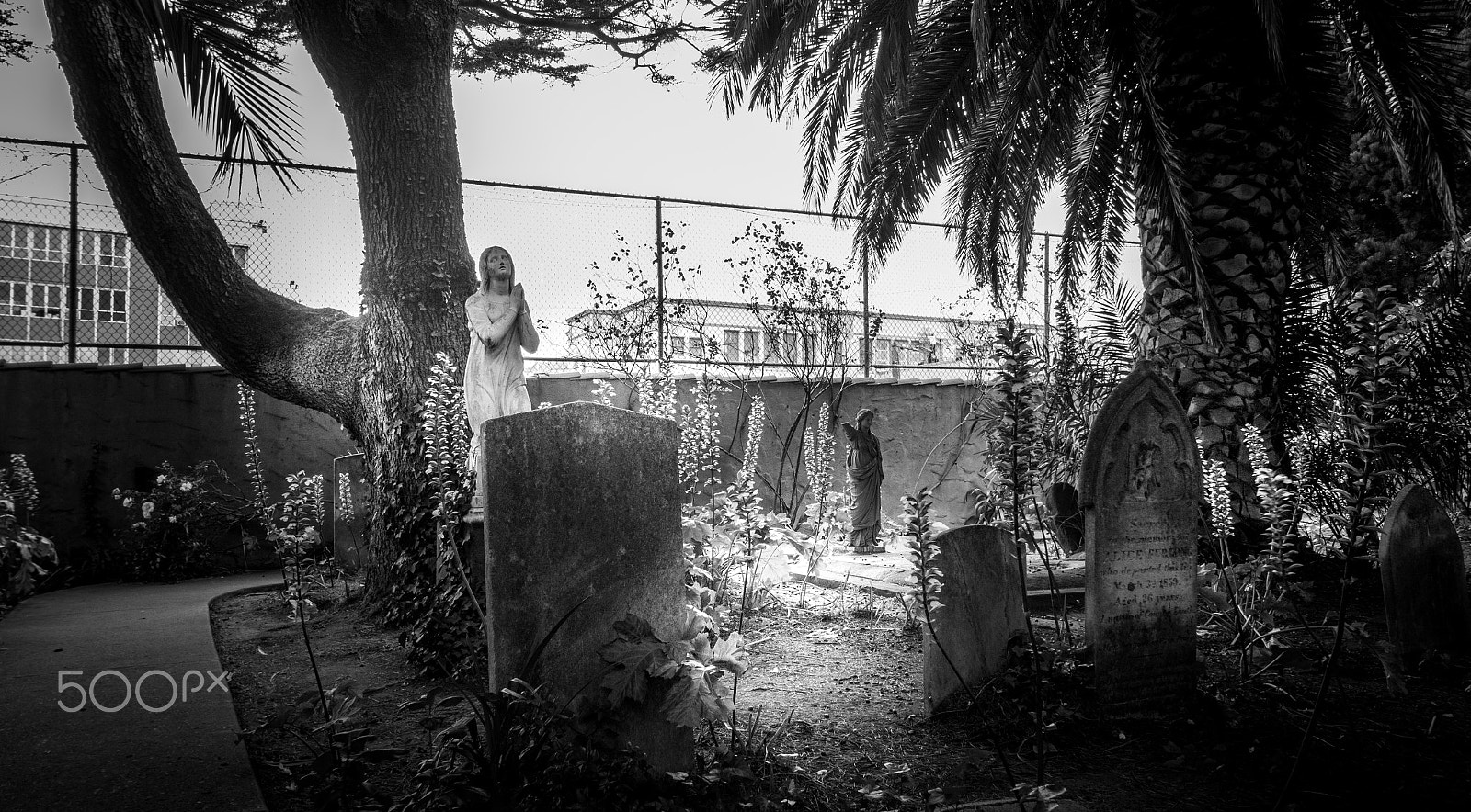 Canon EOS 700D (EOS Rebel T5i / EOS Kiss X7i) + Sigma 10-20mm F3.5 EX DC HSM sample photo. San francisco cemetery photography