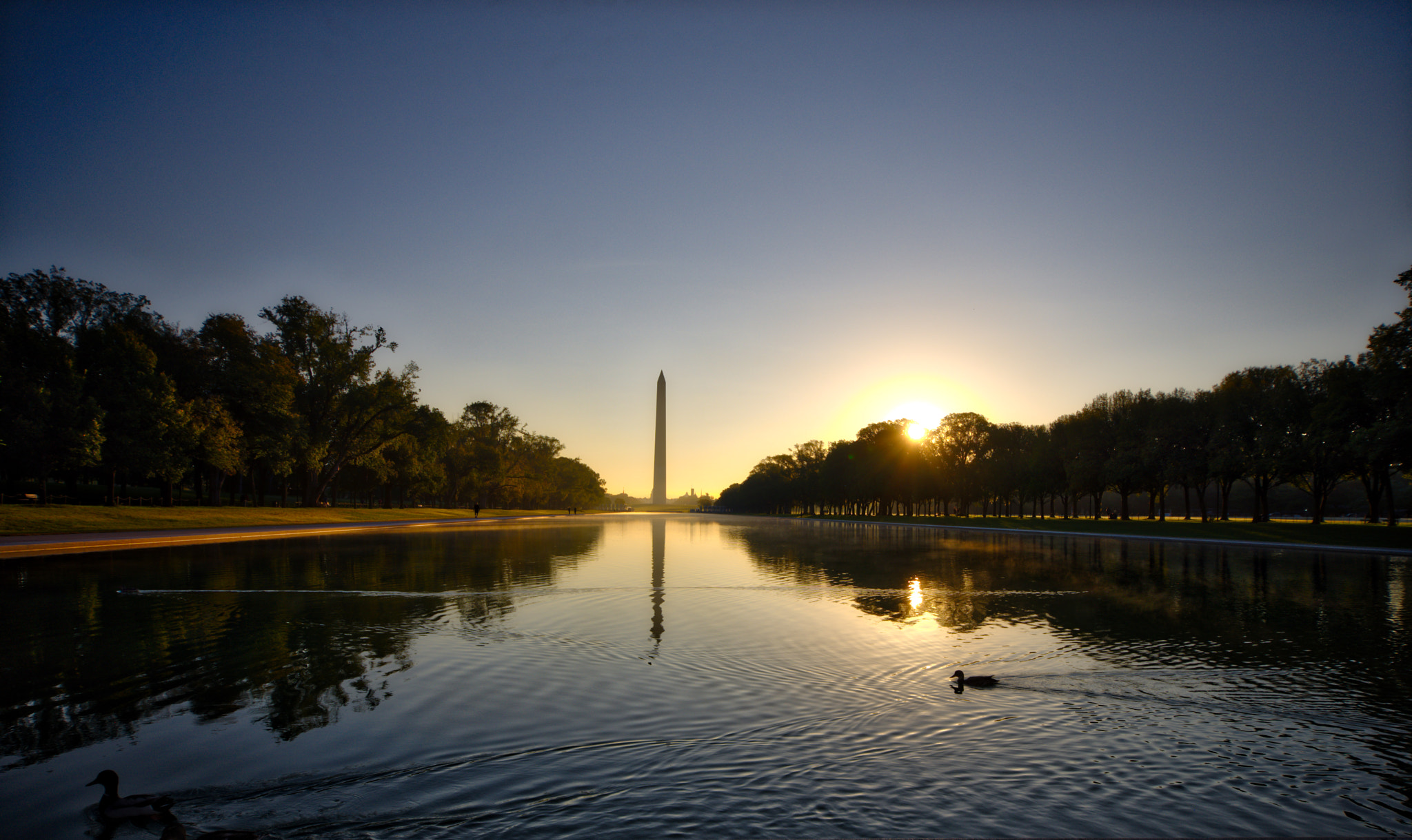 Nikon D600 sample photo. Sunrise with some ducks and the lincoln photography