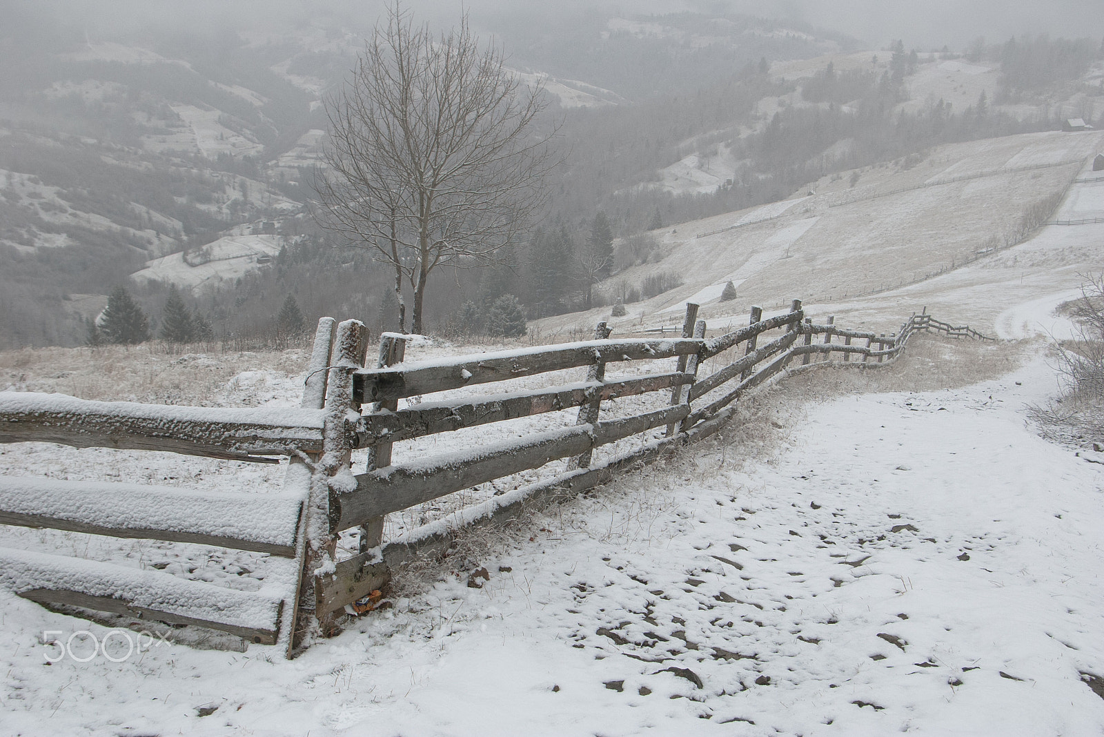 Pentax *ist DL sample photo. Foggy winter morning in the transcarpathian ukraine.  photography