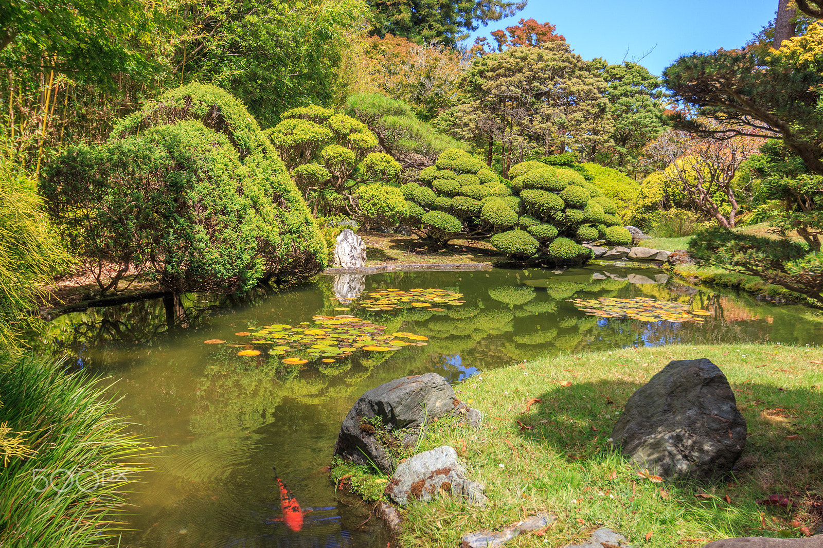Sigma 10-20mm F3.5 EX DC HSM sample photo. San francisco japanese garden photography
