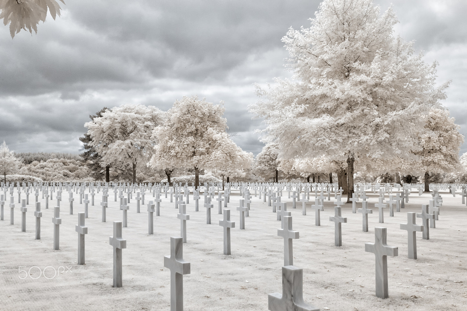 Canon EF-S 24mm F2.8 STM sample photo. Brittany american cemetery photography