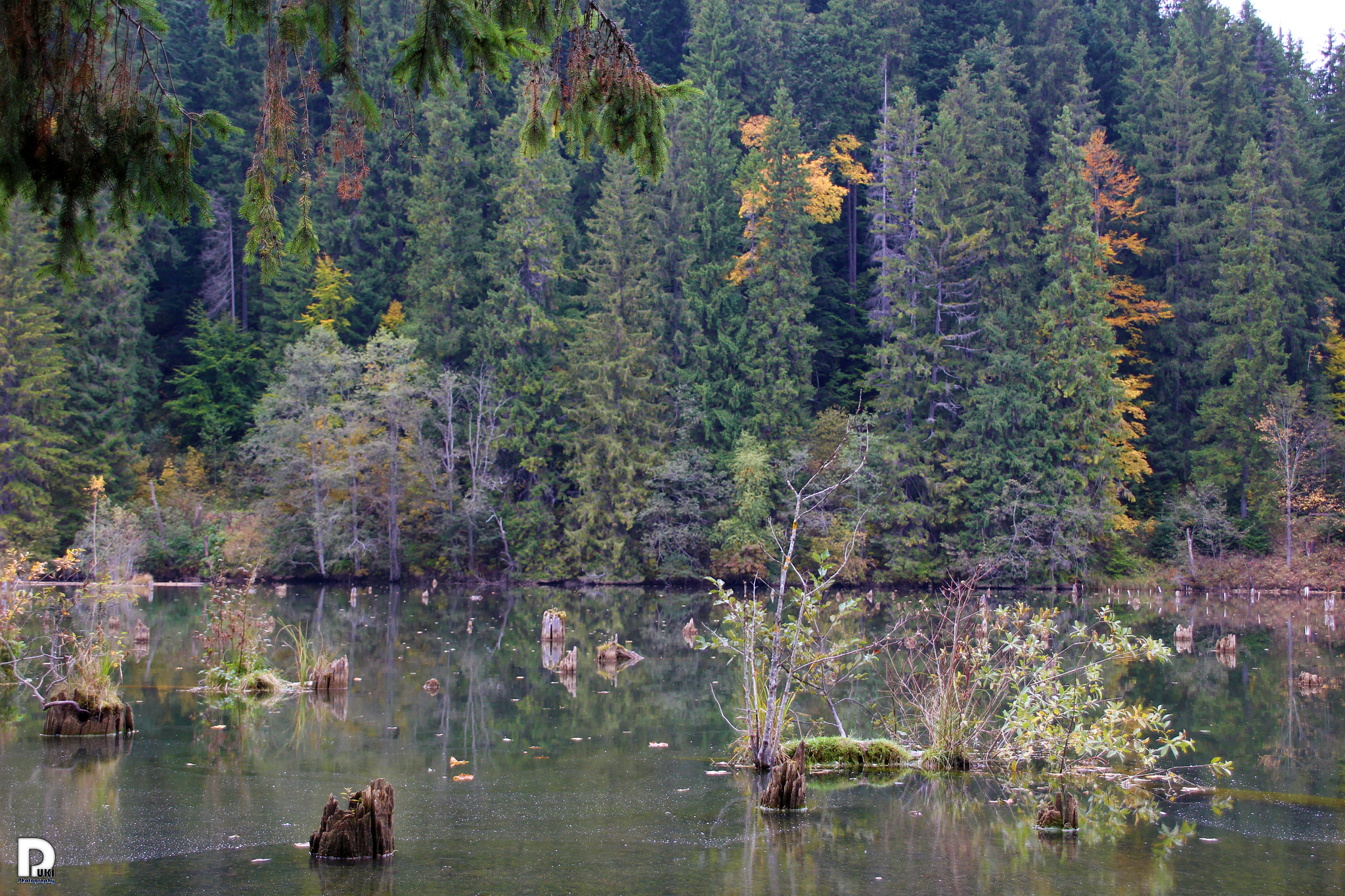 Canon EOS 100D (EOS Rebel SL1 / EOS Kiss X7) + Canon TS-E 90mm F2.8 Tilt-Shift sample photo. Red lake photography