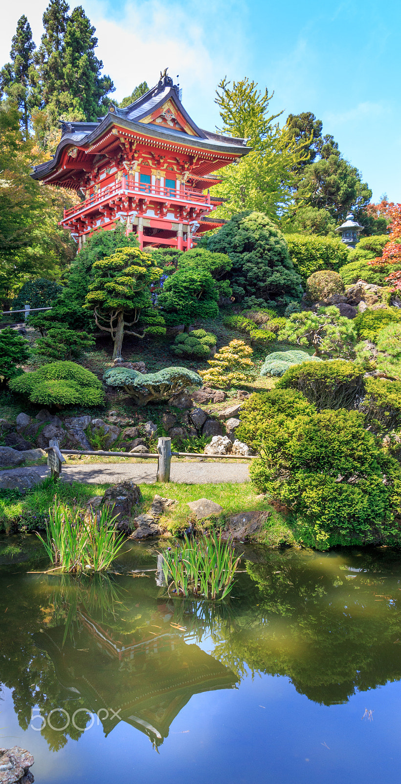 Sigma 10-20mm F3.5 EX DC HSM sample photo. San francisco japanese garden photography