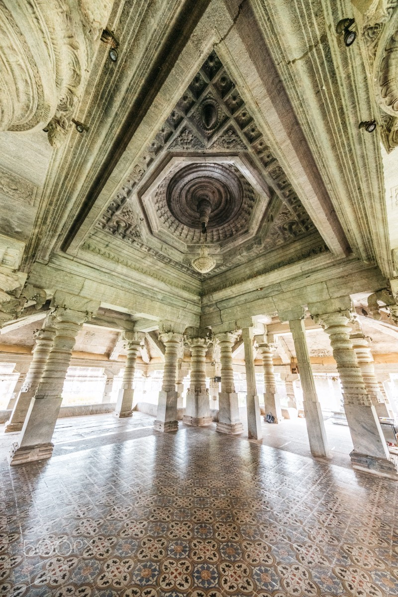Canon EF 11-24mm F4L USM sample photo. 1000 pillar temple photography