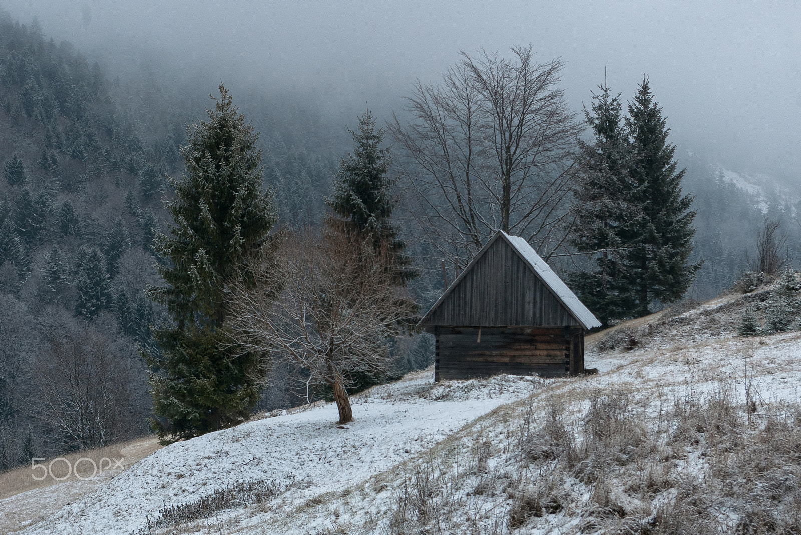 Pentax *ist DL + Pentax smc DA 18-55mm F3.5-5.6 AL sample photo. A lonely house in the mountains. ukraine photography