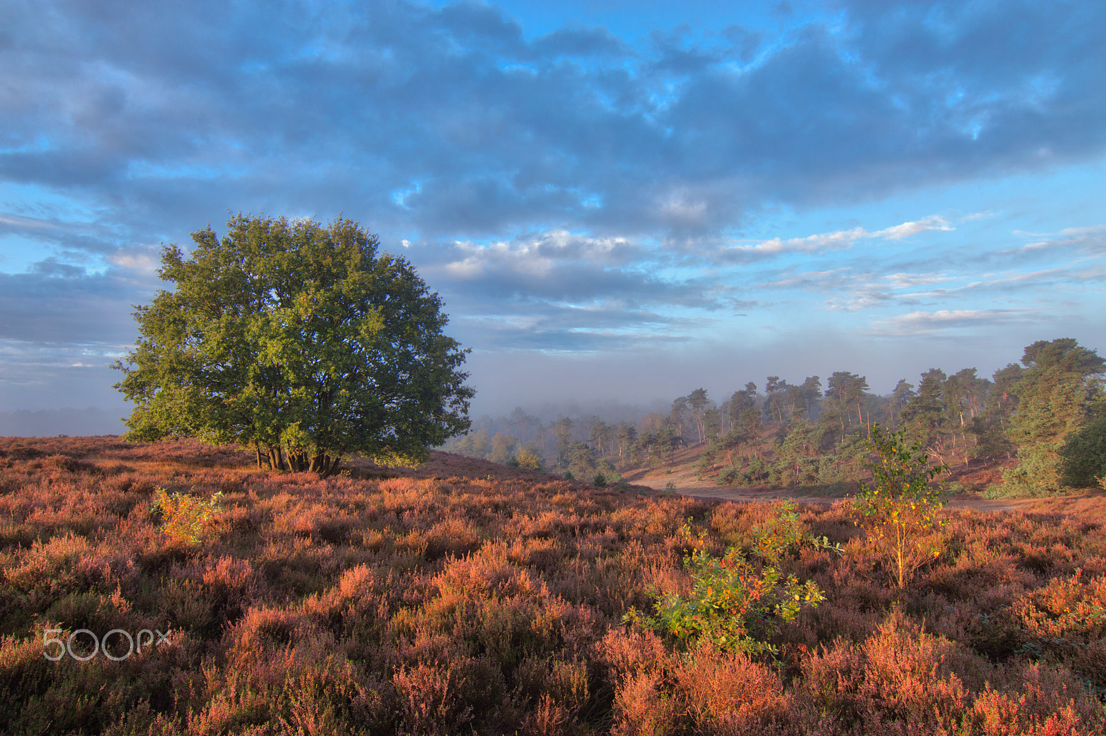 Tokina AT-X Pro 12-24mm F4 (IF) DX sample photo. Velpsezand photography