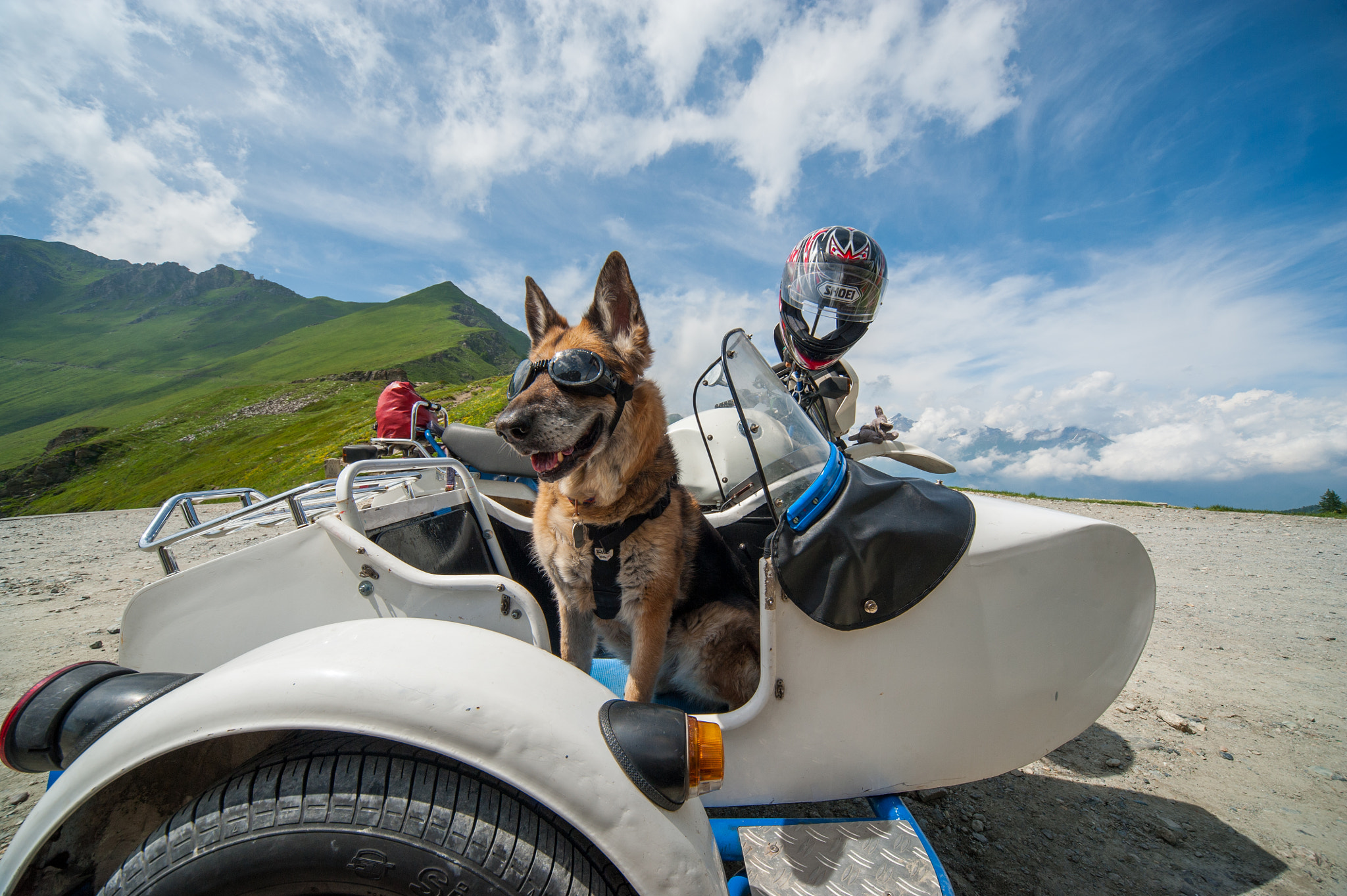 Nikon D700 + Sigma 12-24mm F4.5-5.6 EX DG Aspherical HSM sample photo. Biker dog photography