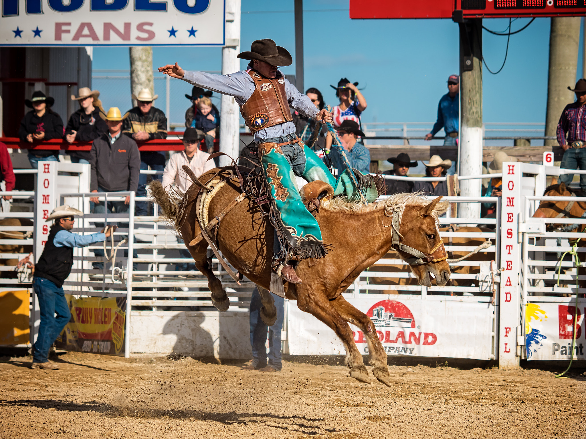 Olympus OM-D E-M1 sample photo. Saddle bronc riding photography
