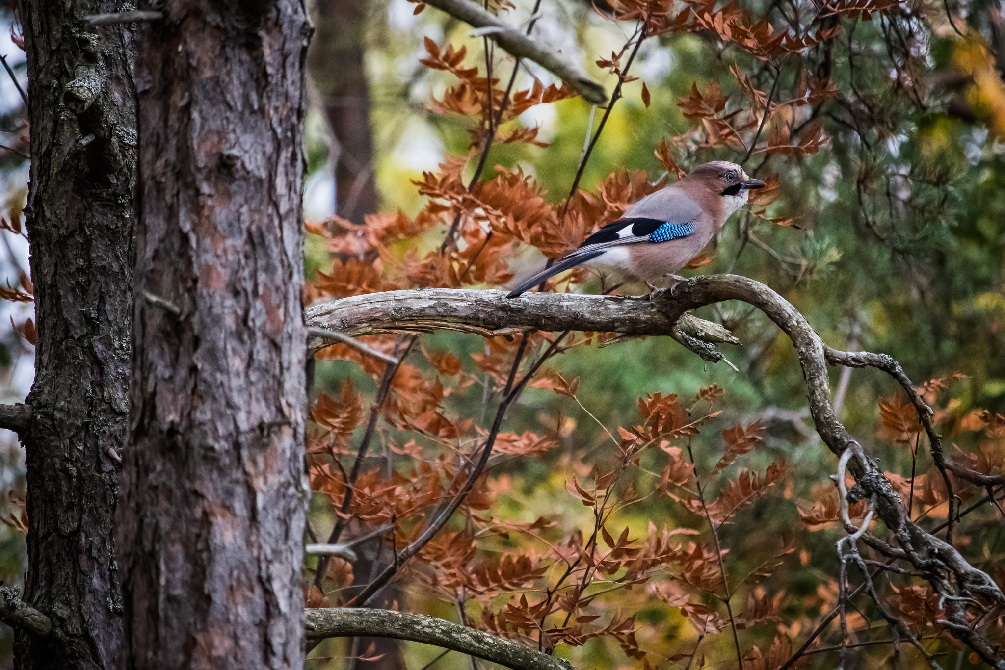 Canon EOS M3 sample photo. Stockholm - vinterviken - jay photography