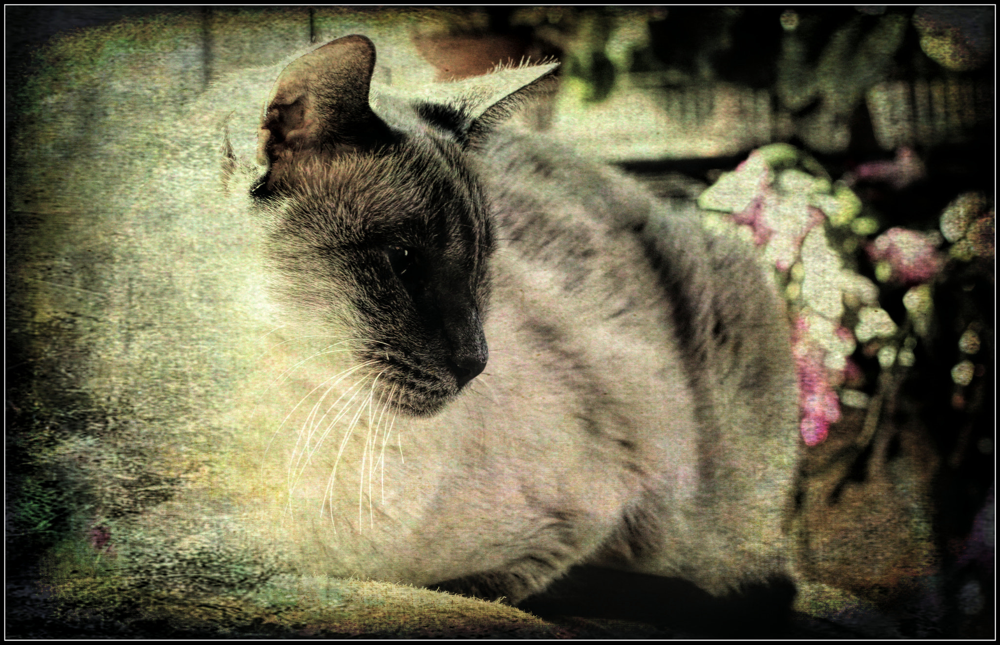 Canon EF 50mm F2.5 Macro sample photo. Sam... photography