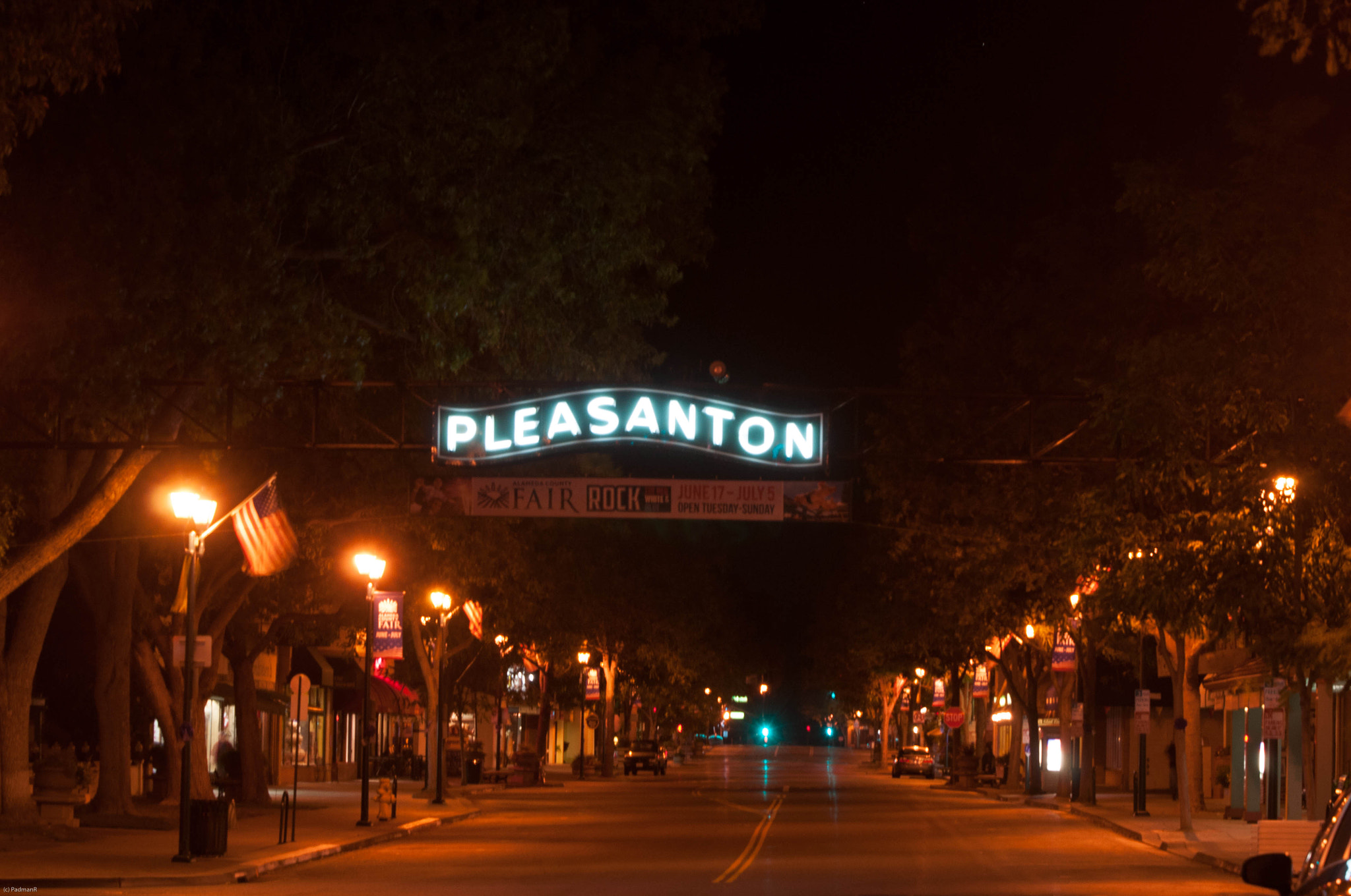 Nikon D300S sample photo. Pleasanton photography
