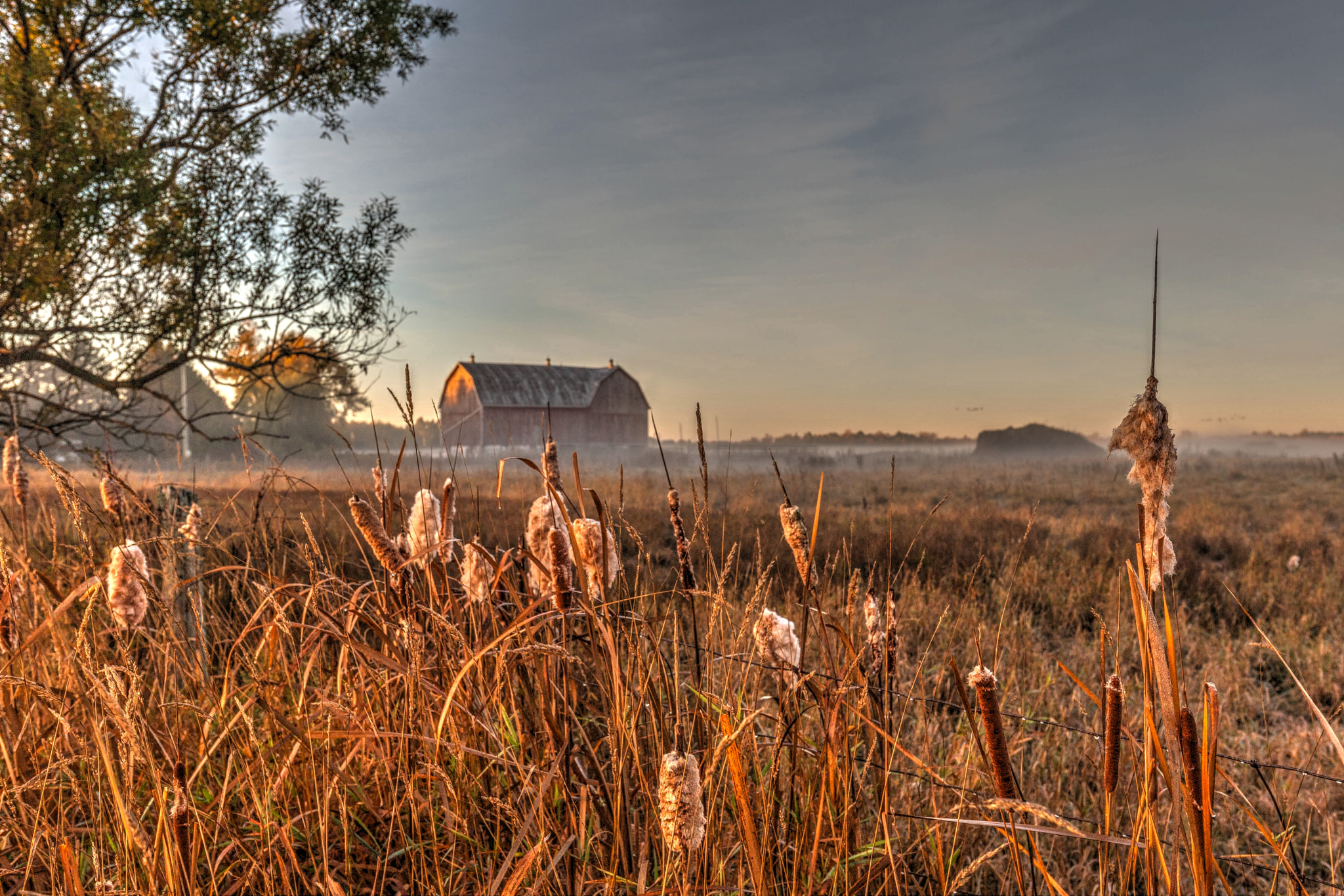 Canon EF 16-35mm F4L IS USM sample photo. Old barn in the morning mist photography