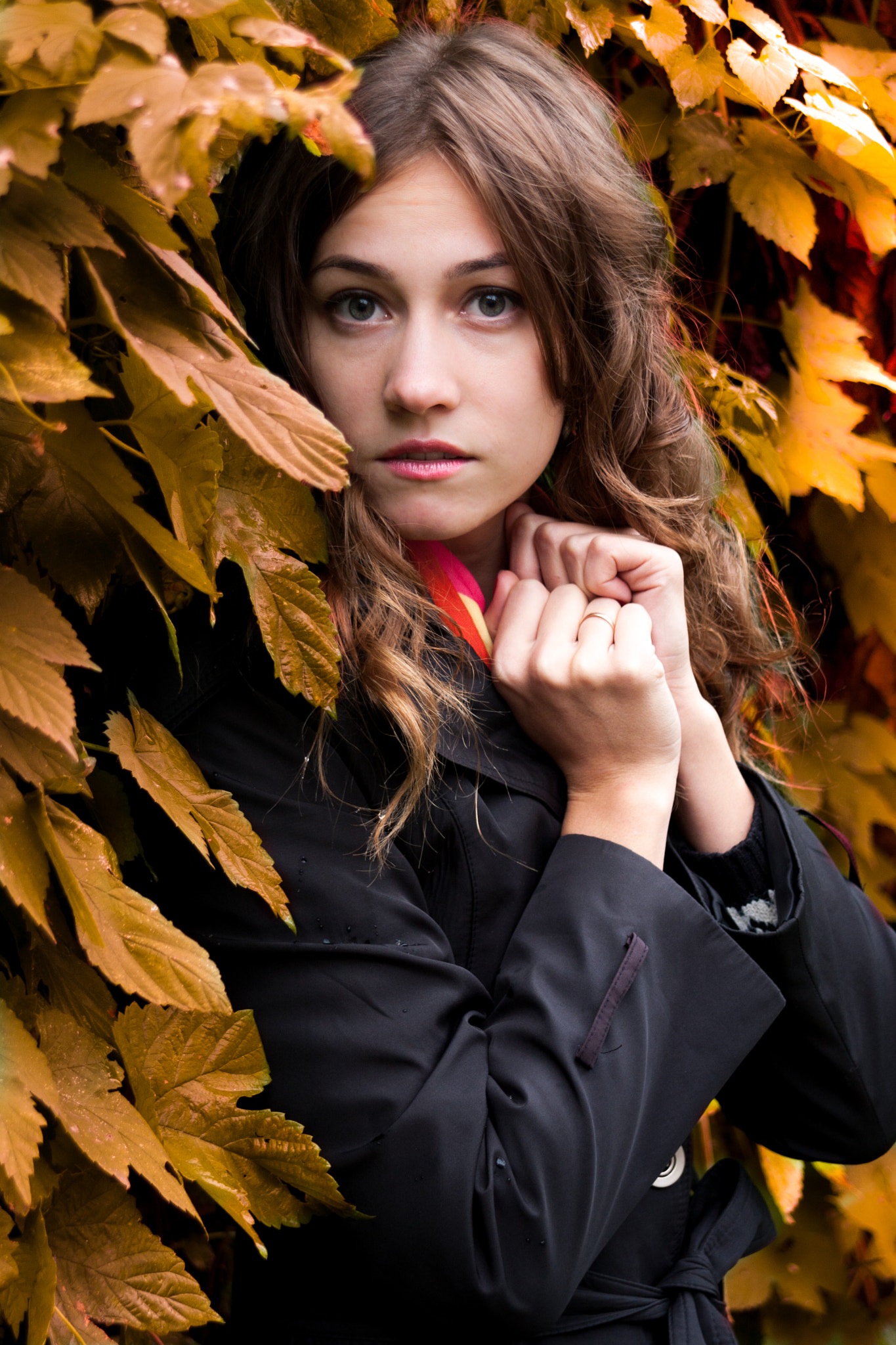 Canon EF 28-200mm F3.5-5.6 USM sample photo. Autumn it's very beautiful! photography